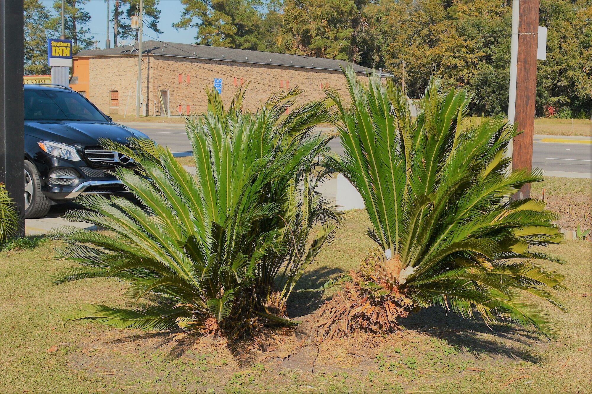 Travelodge By Wyndham Walterboro Exterior foto